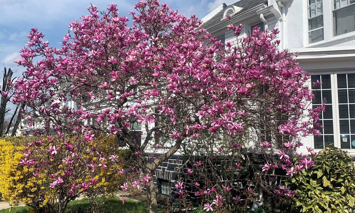 Downtown Baltimore House | Artsy Homey Rowhouse, 3bdrm & office, quiet urban area, free parking, fast WiFi