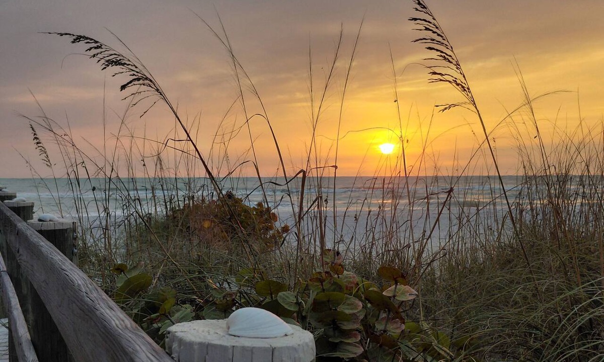 Placida Condo | Little Gasparilla Island-Family Friendly Luxury Retreat