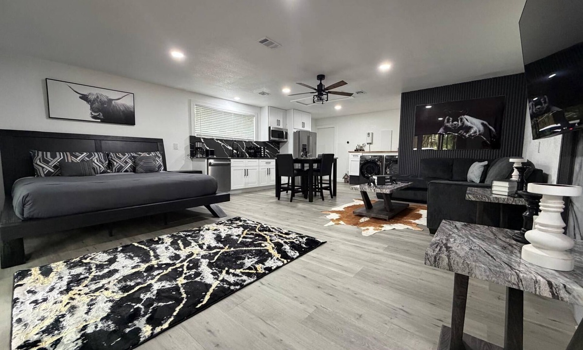 Wesley Chapel South Apartment | Modern Luxury Studio Cozy Retreat