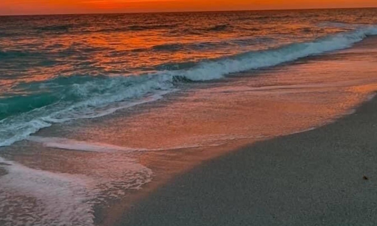 Englewood East House | Pet friendly retreat close to beaches and restaurants