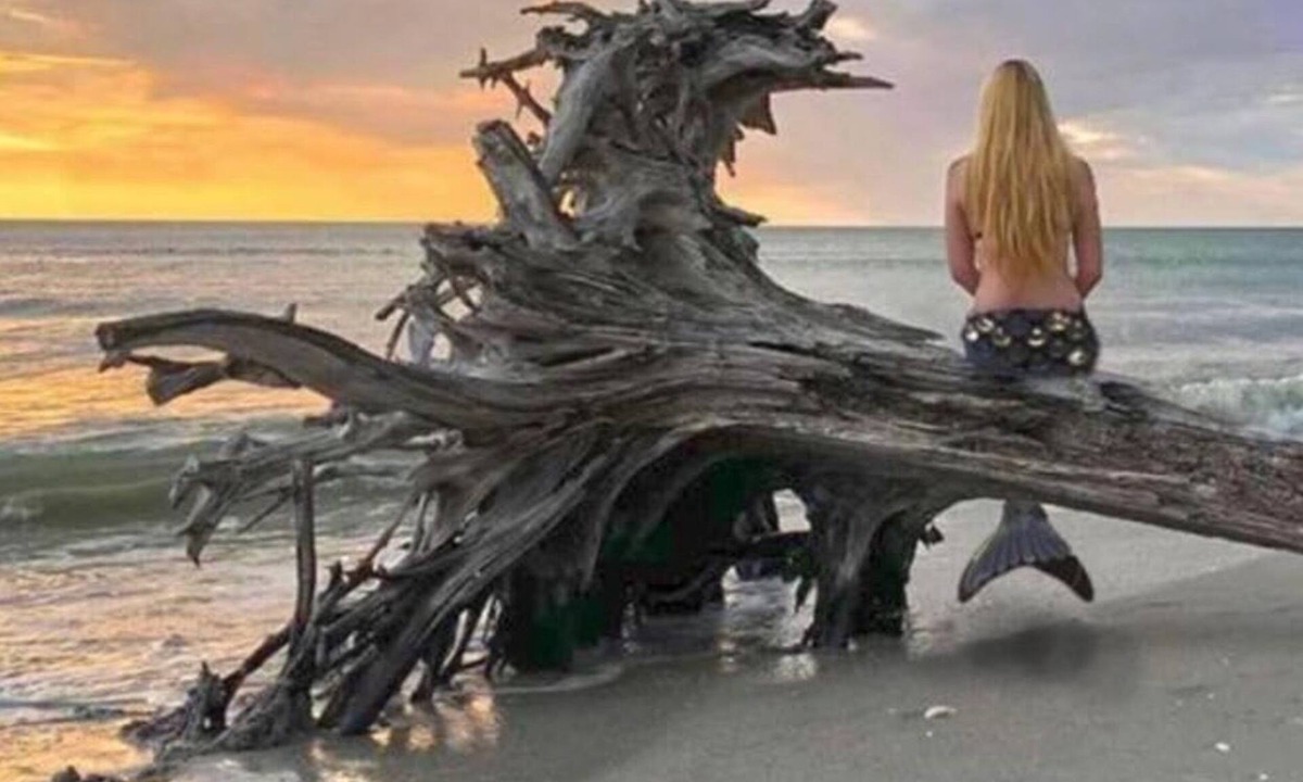 Placida House | Salty Mermaid on Little Gasparilla Island! Come get salty!