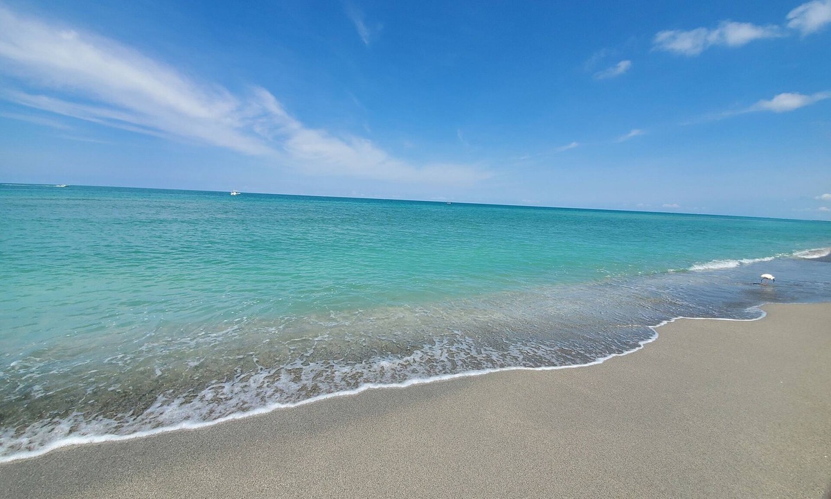 Golden Beach Condo | Shark Teeth Retreat: Modern Coastal Bliss, Steps to Private Beach, Near Downtown