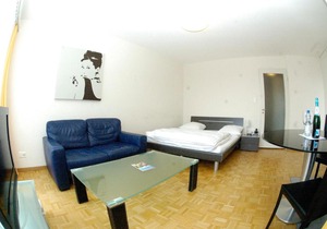 Nice studio with view over the city - Vineyard 52 in Zurich