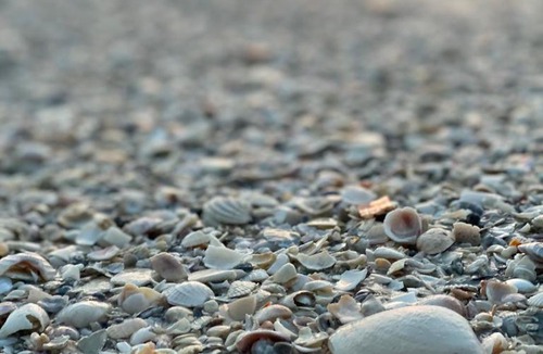 Holmes Beach Hotel | A Tropical Breeze Beach Club - Anna Maria Island