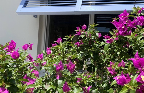 Central Naples House | Beach Bungalow only 10 Blocks to Park Shore Beaches!