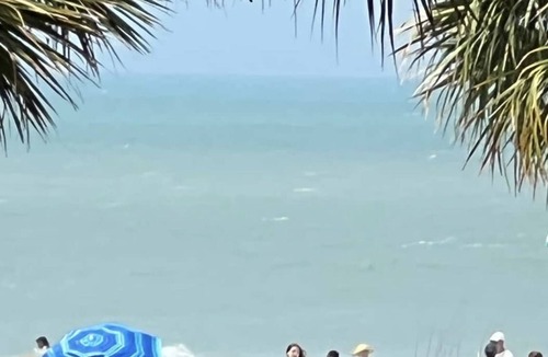 Indian Rocks Beach Condo | Beachside Dreams-Pet Friendly Condo 25yds from beach w heated pool, 2 parking sp