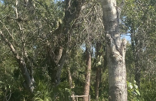 North Fort Myers RV Rental | Beautiful campground area perfect for RV parking, water view, and great location