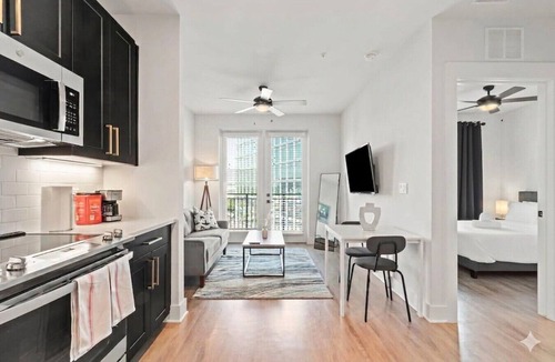 North Hyde Park Apartment | Beautiful Modern 1BD | Walk to Raymond James!