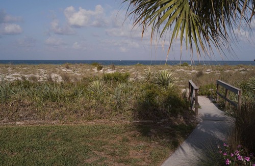 Golden Beach Apartment | Charming Apartment With Private Beach Access in Venice, FL