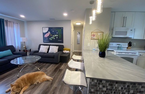 Alta Vista House | Charming Downtown Sarasota Cottage- near Legacy Trail and 10 min to beach!