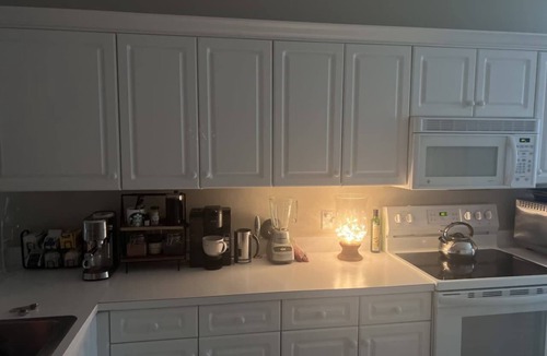 Estero Apartment | Cozy 1-bedroom apartment with AC in beautiful Fort Myers