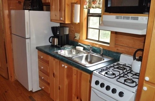 Asheville Cabin | Cozy Cabin on Blue Ridge Pwy & MTS Trl with hot tub, only 15min from downtown