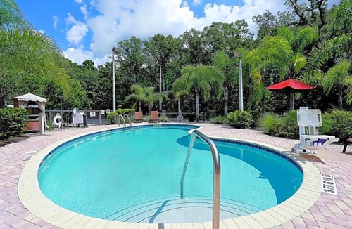 Wesley Chapel Hotel | Cozy Room w/Pool, Tea & Coffee Maker Near University of South Florida