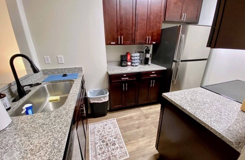 Greenville Downtown Condo | Downtown Condo w/Balcony & Amazing view overlooking Main Street