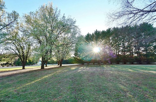 Greer House | Excellent Location 3-Bedroom House on Large Quiet Lot