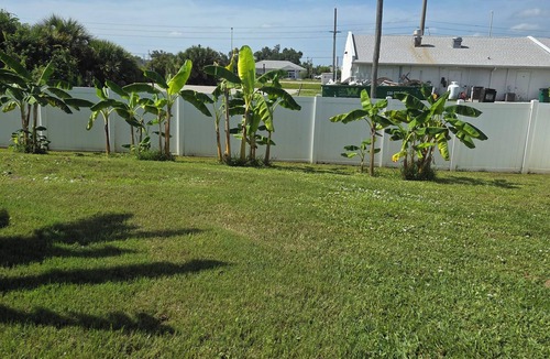 Englewood East Apartment | Experience the Privacy and Comfort at Lani Mana Chill and Enjoy