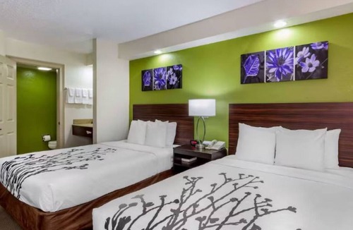 Temple Terrace Hotel | Family-Friendly Retreat Near Lettuce Lake – Explore Nature Trails