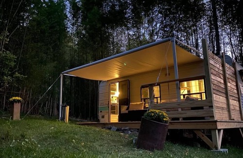 Asheville Cabin | Magical little camper in the bamboo forest - Minutes to downtown Asheville! WiFi