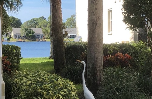 Crown Pointe Condo | Naples Lakeside Condo