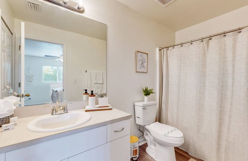 Diplomat House | Palm-lined dog-friendly home with plunge pool, covered patio, grill, W/D, & AC