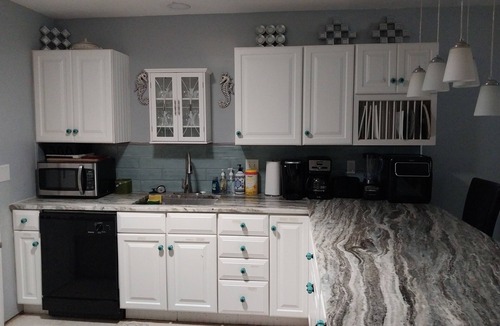 Venice Gardens House | Short Term Housing or Vacation, Near Beach, Food & Shopping, Fenced, Pet Welcome