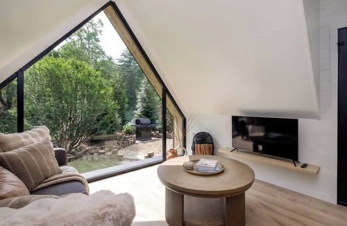 Balsam Grove Apartment | The A-Frame Collection - Sanctum at Valley Bear Farms Resort