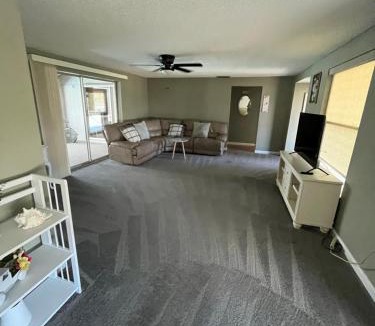 Venice East House | Venice dove shell