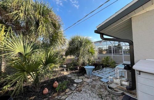 Venice East House | Venice Dove Shell