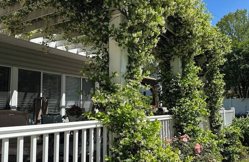 Greenville - Spartanburg House | Whispering Willow Retreat. Offering the Highest Level of Warmth and Comfort.