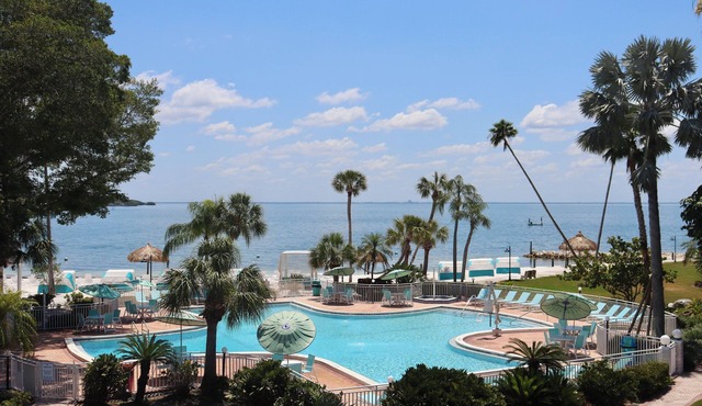 A Slice of Paradise | Relax, Play, & Indulge in Unique St Pete Experience!