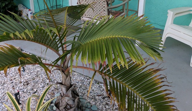 ADORABLE LOW COST PRIVATE 1BR VILLA- 1.5 blocks to BEACH- at GREAT prices!!