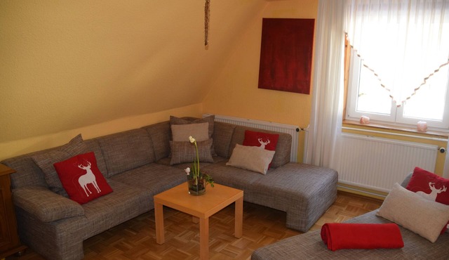 Apartment "ANGEL" 8 (10) pers. 4 bedrooms/2DU/WC/120m²/sauna/W-LAN Thür. Forest in Fehrenbach