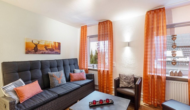 Apartment 'Holterhoff' with Private Terrace, Shared Garden and Wi-Fi in Olpe
