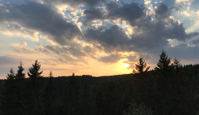 App 647 Panoramic Hohegeiß Terrassenhaus in Braunlage