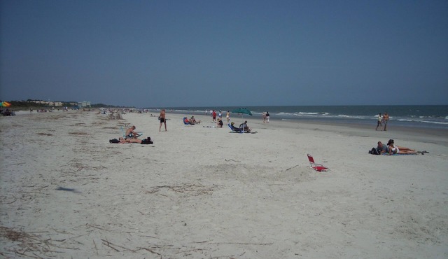 AUG 16-NOV&:OCEANVIEW3RDFL,2B/2B,50ydtoBEACH,POOL, NEWtile shower,ELEVATOR in Hilton Head Island
