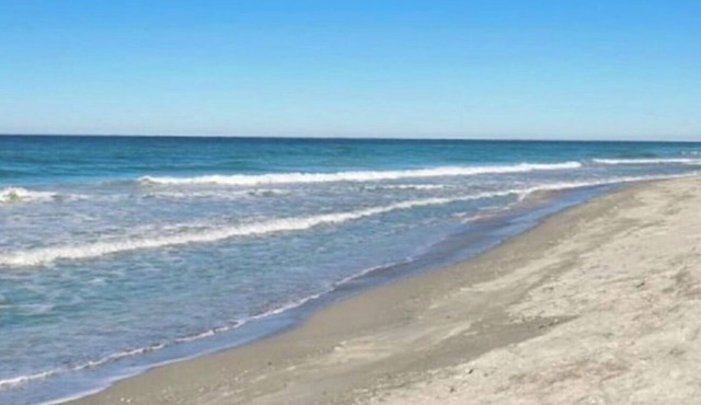 Beach Paradise on Venice Island