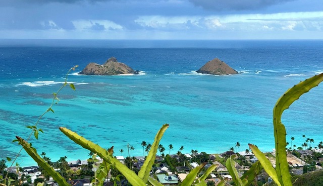 Beach Studio with private yard in Lanikai - 30 day Minimum Stay in Kailua