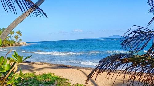 Blue Horizon in Humacao