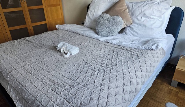 Bonito Apartamento Vacacional in Lausanne