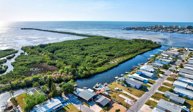 BOOK NOW FOR PASCO CO SCALLOP SEASON ending Aug18 & Hernando Co until Sept26th in Hudson