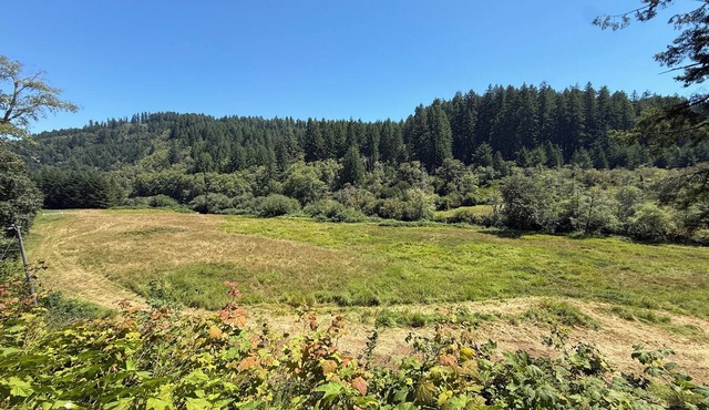 Charming riverfront campground on the Oregon coast ready to relax in nature in Florence