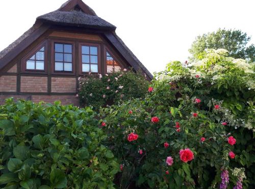 Darssblick in Fuhlendorf
