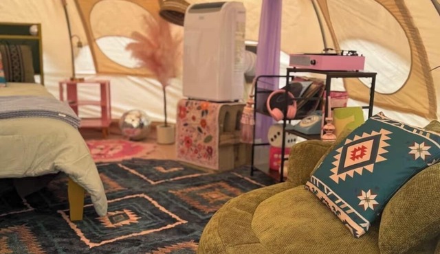 Dolly’s Disco Yurt, fluffy, sheep, llamas, and shaggy cows in Thomson