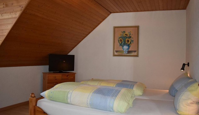 Double Room Shower/WC - Weingut-Gästehaus Hermes-Lex in Trittenheim