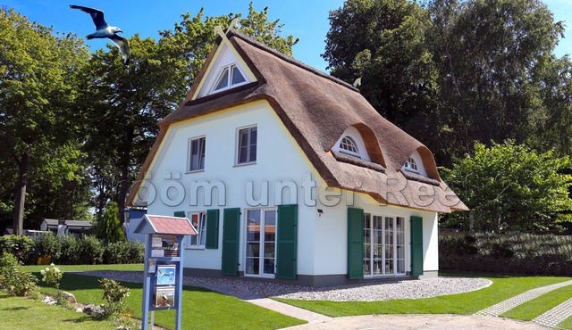 Drööm under thatch 2, 3 to 4 bedrooms, 2 bathrooms, sauna. in Ostseebad Rerik