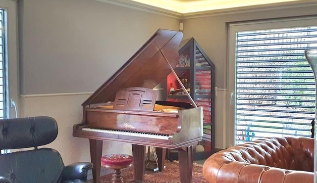 Duplex, piano, billard, ping-pong, jardin in Geneva
