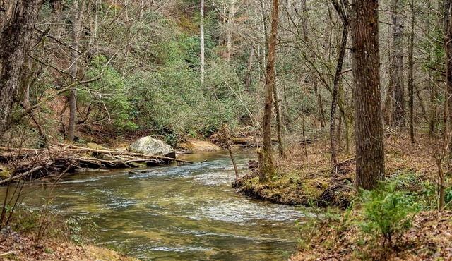 Eastatoee Bears Cabin A with Mtn and Waterfall Hikes in Sunset