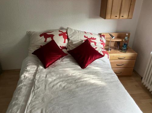 Ferienwohnung in Solms in Solms