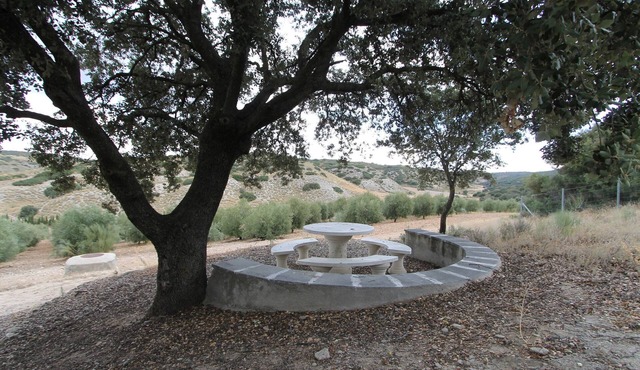 Finca Casa Rural Victoria near Madrid and Warner Park. Max Capacity 24 in San Martín de la Vega