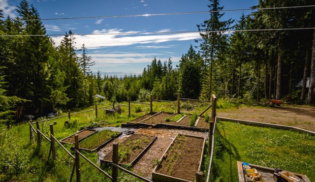 Forbidden Plateau Paradise with Hot Tub in Comox-Strathcona